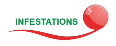 Infestations Button